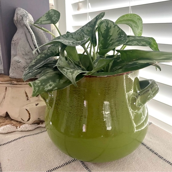 De Silva Terracotta Bean Pot Cookware Covered Made In Italy - Picture 5 of 16